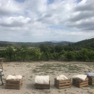 II Jornada de Verema i Trepitjat de Raïm, al Penedès de Muntanya!