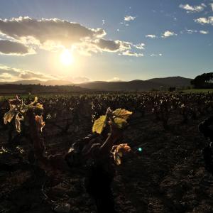 Visita 360 graus del cep a la copa