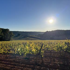 Primavera enogastronòmica entre vinyes