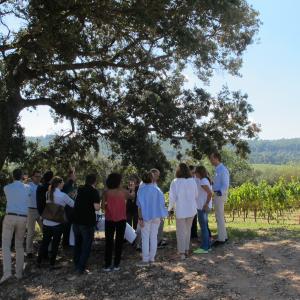 Visita Natura amb esmorzar a Segura Viudas