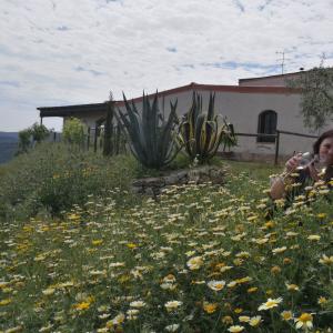 Wine Bar a les portes del Garraf