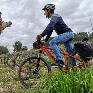 LLOGUER DE BICICLETES - PEDALA AL TEU AIRE I DESCOBREIX EL PENEDÈS 