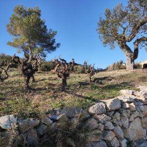 Quadre treballant la Vinya
