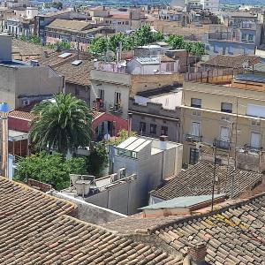 Visita al campanar i a la teulada de Santa Maria
