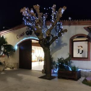 Celler Cuscó Berga