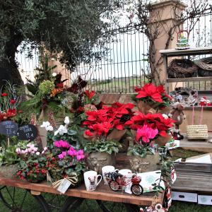 Christmas Market a Torre del Veguer - 3ª edició