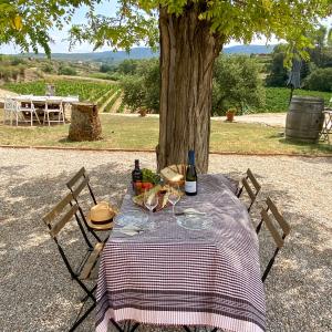 Esmorzar - picnic de pages entre les vinyes del Celler Eudald Massana