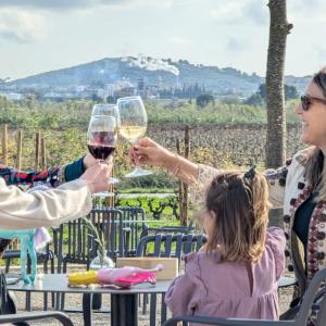 Terrassa Wine Bar