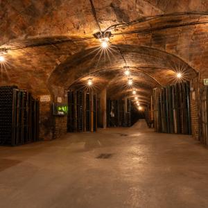 Visita i tast de cava amb Calçotada a la Bleda