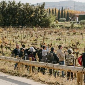 Jornada de natura: ocells, biodiversitat i art