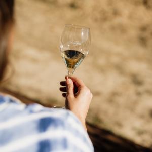 Ruta Terroir