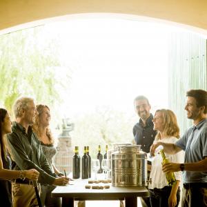Introducció al cupatge de vins: Elabora el teu propi vi