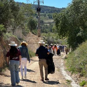 VEREMA CAVA AMB ESMORZAR ENTRE VINYES