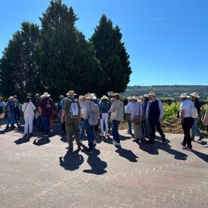 VEREMA CAVA AMB ESMORZAR ENTRE VINYES