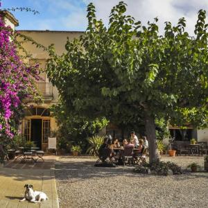 XEC REGAL d' Enoturisme