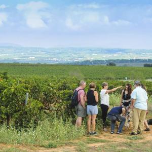 XEC REGAL d' Enoturisme