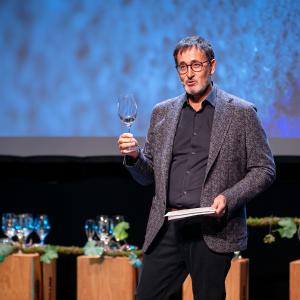 Most Festival Internacional de Cinema del Vi 