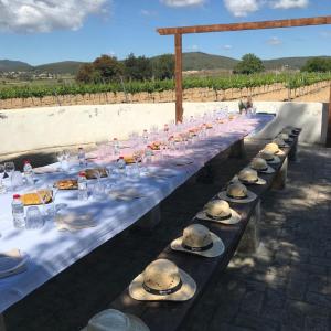 Brunch al jardí o entre vinyes + visita i tast