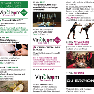 FIRA VINÒLEUM A FONT-RUBÍ