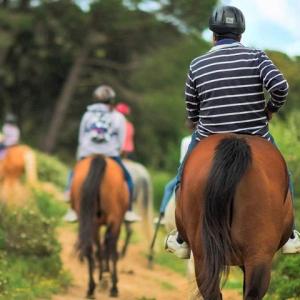 visita completa al celler amb degustació i tast de vins