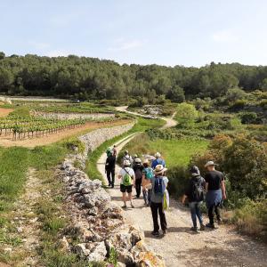 Descobreix l'art de la pedra seca a Subirats