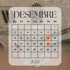 Horari de Nadal i visites especials al Conjunt Monumental de Sa Roca