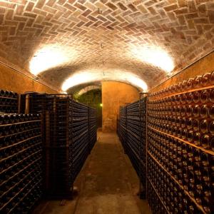 Visita el Celler i el Museu del vi Ramon Canals amb 3 degustacions