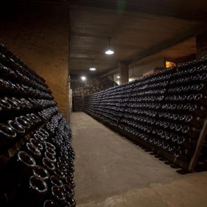Visita el Celler i el Museu del vi Ramon Canals amb 3 degustacions