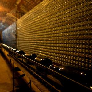 Visita el Celler i el Museu del vi Ramon Canals amb 3 degustacions