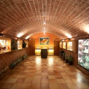 Visita el Celler i el Museu del vi Ramon Canals amb 3 degustacions