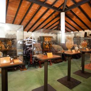 Visita el Celler i el Museu del vi Ramon Canals amb 3 degustacions