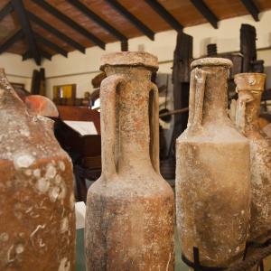 Visita el Celler i el Museu del vi Ramon Canals amb 3 degustacions