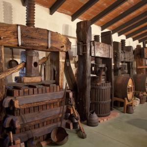 Visita el Celler i el Museu del vi Ramon Canals amb 3 degustacions
