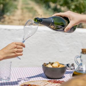 Ruta de verema a Cava Rovellats