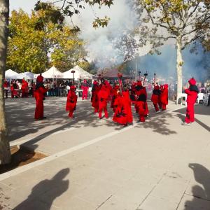  Festa del Ball del Most
