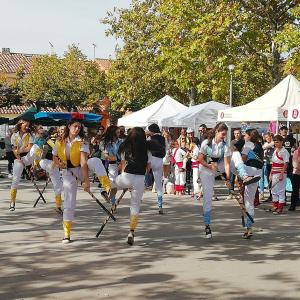  Festa del Ball del Most