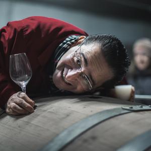 Visita el nostre Celler