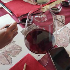 TALLER DE LÀMPADES NADALENQUES AMB TAST DE VI, OLI VERGE I XOCOLATA NEGRA