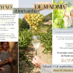 Esmorzar itinerant de VEREMA