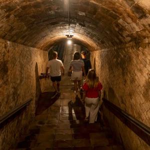 CANTAVINS NADAL A CAVA ROVELLATS