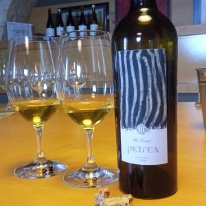 Tast SABORS DE NADAL