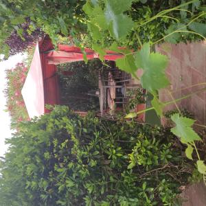 WINE ART A L'ESTUDI D'ART TINTA I VI a Sant Esteve Sesrovires