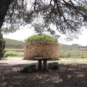 Desperta entre vinyes amb tast i sopar