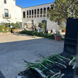 Visita i calçotada al celler