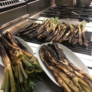 CALÇOTADA ENOTURÍSTICA A LA CAPITAL DEL CAVA 