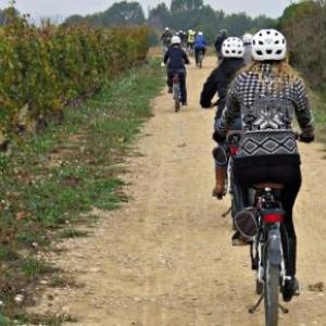 visita completa al celler amb degustació i tast de vins