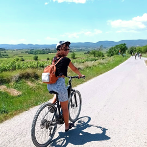 Tour Autoguiat a cellers amb bicicleta