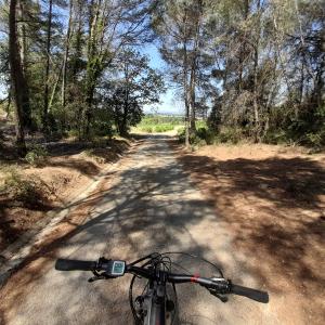 Lloguer de bicicletes