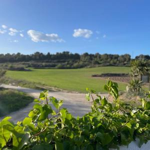 Visita a celler amb tast de vins i menú calçotada