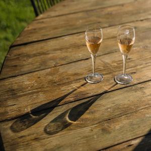 Wine bar: terrassetes amb encant entre vinyes